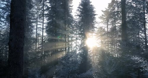 Cinematic drone shot of breathtaking landscape