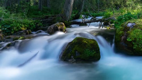 Timelapse estival clair d'une crique tranquille dans les Tatras