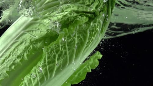 Vibrant Green Cabbage Being Rinsed in Clear Water