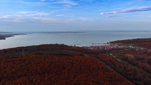 Images d'une spectaculaire forêt luxuriante colorée en rouge et orange.