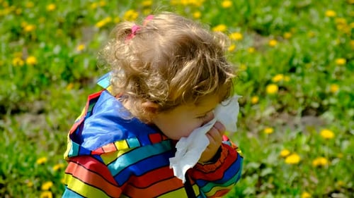 Child With Allergies Wipes Nose Outdoors in Field