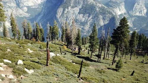 Aerial Shot Of Beautiful Landscape At Half Dome In The Yosemite Valley, USA
