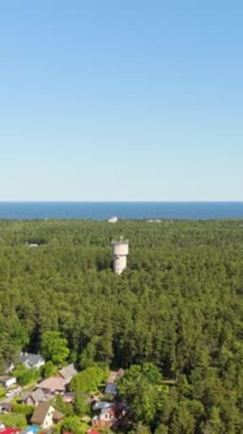 Aerial View of Jurmala's Stunning Baltic Beach and Forest Landscape, vertical