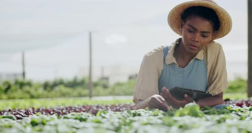 Farmer Works with Tablet in Outdoor Garden