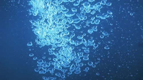 Air Bubbles Rising in Clear Water