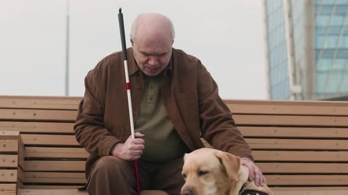 Man with Visual Impairment Sitting on Street Bench and Petting Labrador Dog