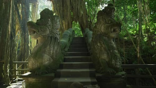 Escaliers du dragon dans la forêt des singes d'Ubud, Bali, Indonésie