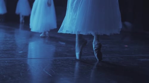Close up of ballet dancer as she practices exercises on dark stage. Woman's feet in pointe shoes.
