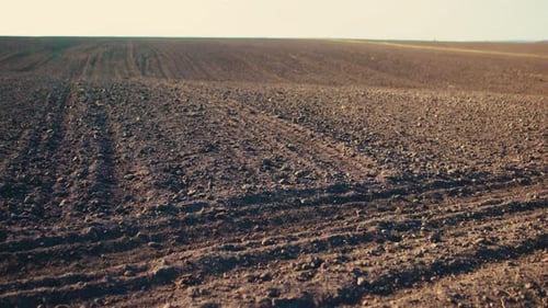 Trostlose Landschaft eines leeren Weizenfeldes nach der Wintersaison, landwirtschaftliches Ackerland im frühen Frühling