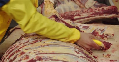 Worker Processes a Piece of Meat at a Slaughterhouse Meat Processing Plant Concept