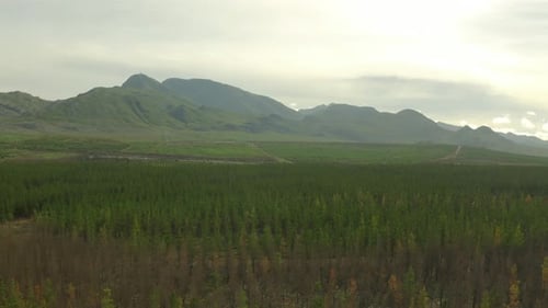4k drone footage of a grassy field with a mountain in the background