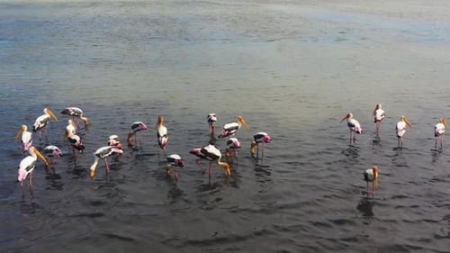 Tropical Landscape with a Lake Sri Lanka