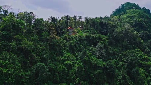 Aerial View on Forest Nature and Green Wood Trees in Landscape of Mountain Hills