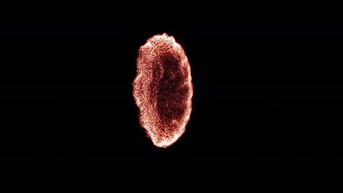 Fluid Particle Burst Reveal Transition