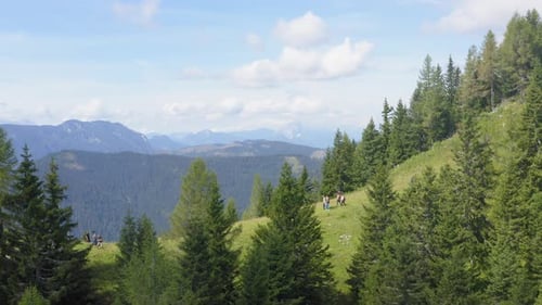 Drone shot of tourists hiking down a hill in between forests. Mountain in the background.