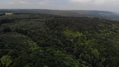 Beautiful drone panoramic view of green forest