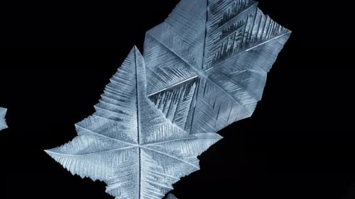 Freezing pattern of a snowflake forming on a soap bubble on black background