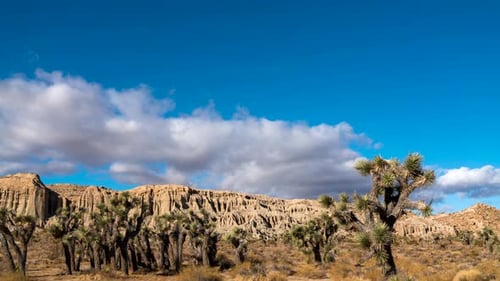 Amazing topography at the Red rock Canyon state park with a dramatic cloudscape overhead and Joshua