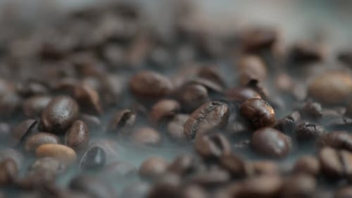 Steaming Roasted Coffee Beans Macro Close Up Shot