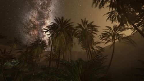 Animated Desert Night Sky with Palm Trees and Milky Way Galaxy