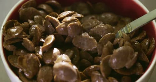 Spoon Scoop Up Chocolate Corn Flakes with Fresh Milk in the Bowl