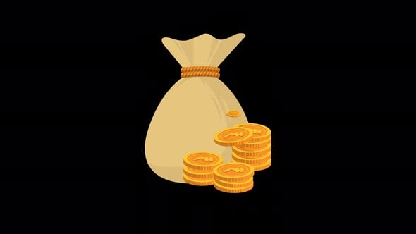 Animated Money Bag with Falling Gold Coins, Backgrounds Motion Graphics ...
