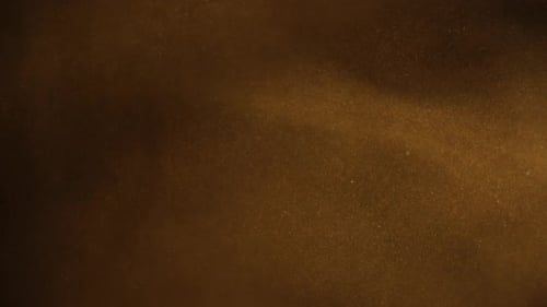Organic dust particles
