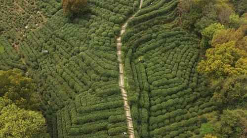 Aerial View of the Tea Hill and Villages Near West Lake in Hangzhou Zhejiang Province China