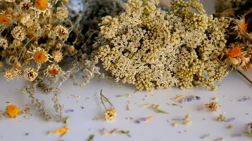 Dried flowers on white surface panning shot