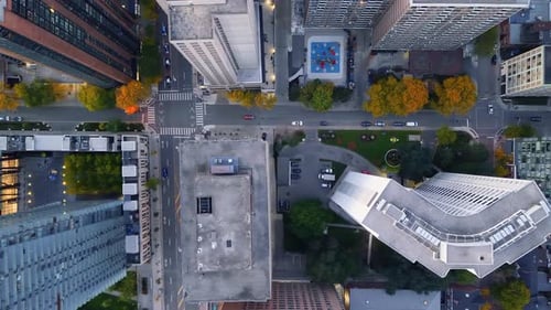 Stunning top drone view in warm colours of building rooftops, modern downtown skyscrapers