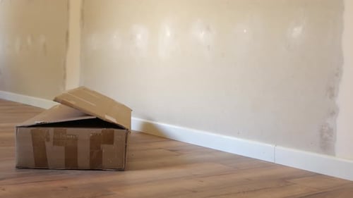 Old Box Isolated In Empty Dirty Room. Close-up Shot