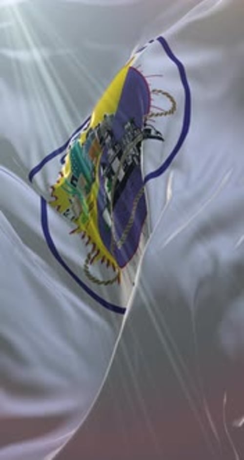 Bandera de Tucson