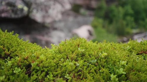 Rugged Mountain Terrain Featuring Dramatic Rock Formations Lush Green Vegetation Sunlight Casting