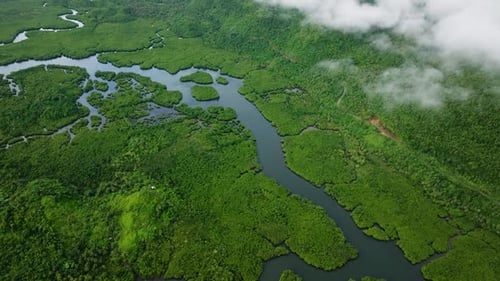River Surrounded By Mangroves at the Foot of Mountains Siargao Philippines