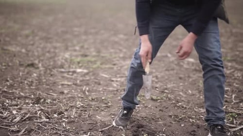 farmer on the field during planting corn and checking the soil