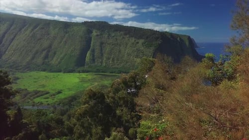 Aerial view of the Waipio valley