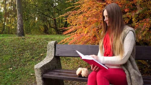 Woman Reading Book In Autumn Park