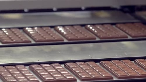 freshly made chocolate bars on the conveyor line
