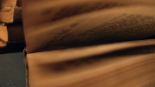 Pages of an Antique Book Collection