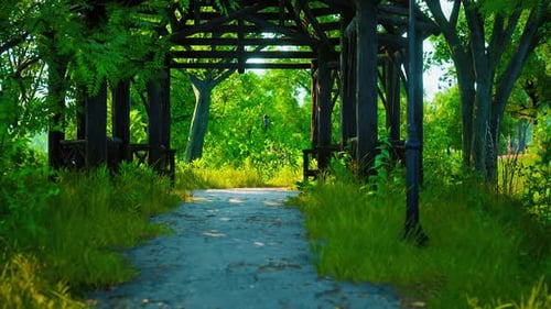 Walking Trails in the Park