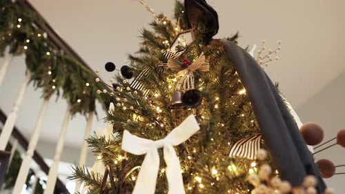 Festive Christmas Tree Decorated with Bows and Lights