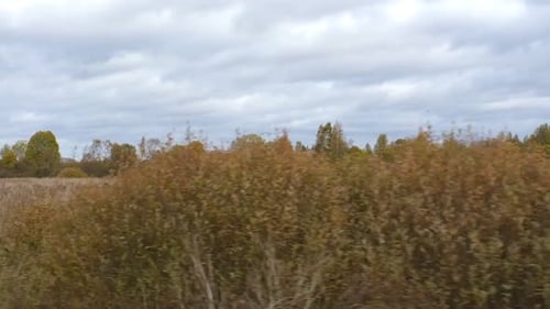 Rustikale Landschaft, POV, Seitenansicht aus einem Autofenster, herbstlicher Wald, Feld in der Ferne, braun