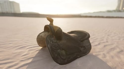 Old Horse Saddle on the Beach
