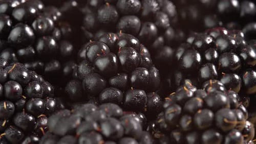 Fresh Ripe Blackberries Close Up