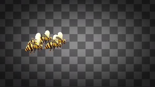 Animated Swarm of Bees Flying Alpha Channel Loop