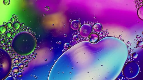 Colorful Oil Bubbles in Abstract Macro Design