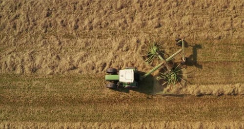 Aerial shot of farming tractor is collecting a straw on a field for making hay bales in a sunny da