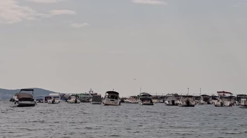 beach, waves in the sea; birds, seagulls flying