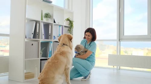 Dog and Cat in Veterinary Clinic