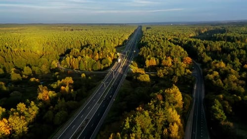 Asphalt Road Among the Forest in Autumn